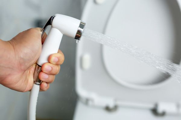 Cost of Bidet Installation in Manassas