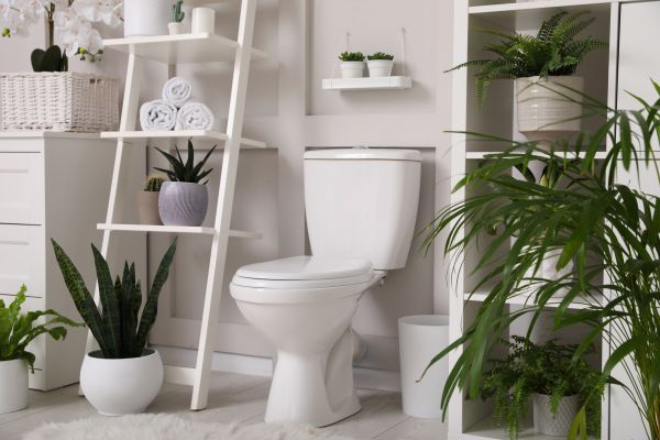 Cost of Toilet Repair in Manassas