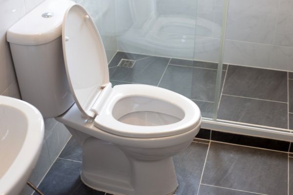 Cost of Toilet Replacement in Manassas