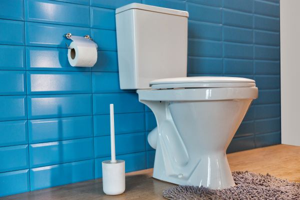 Cost of Toilet Tank Repair in Manassas